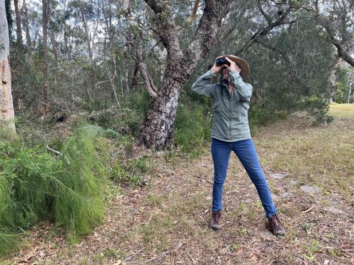 Jervis Bay bird watcher Robyn Hill prepares for the annual Aussie bird count by scanning the bush near her home.
