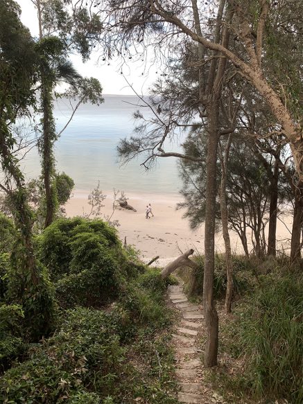 Round the Bay Walking Track looking down to Orion Beach, Jervis bay NSW
