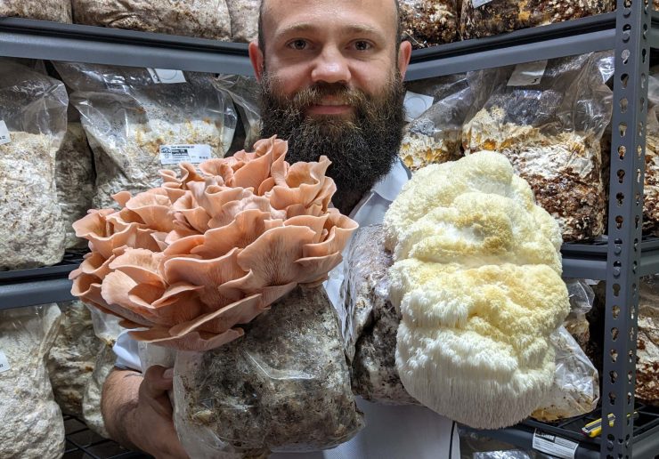 Brett Mather aka That Mushroom Guy is passionate about small-batch exotic mushroom kits direct to you. Photo: supplied