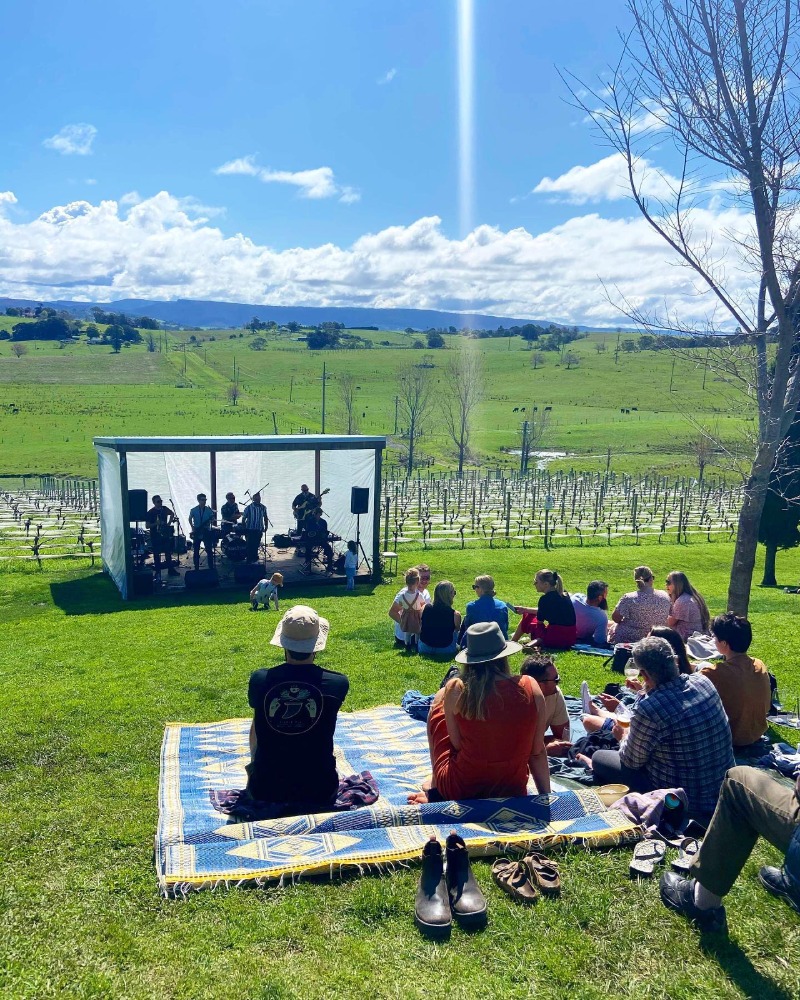 Blues of New Orleans via Chicago from Horse Drawn Cadillac playing at Cupitt's Estate in Ulladulla. Image supplied