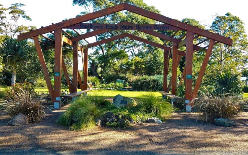 Visit Shoalhaven Heads Native Botanic Garden Open Day this Sunday, buy some plants to help raise funds to maintain the gardens.