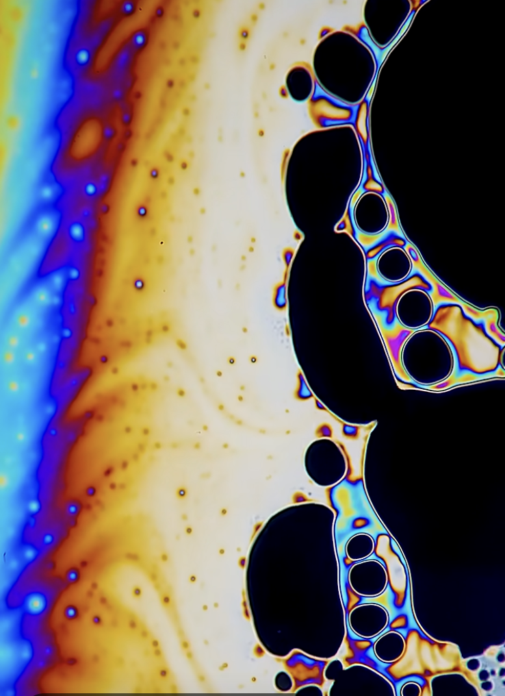 What's under the microscope with TikTok phenomenon Dr Walt Carroll