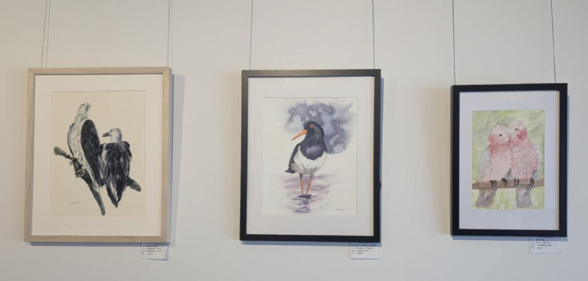 Check out these Birds of a Feather at The Common South Coast before they take flight.