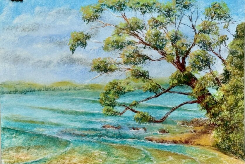 Liz Skewes has a new exhibition, A Quiet Reflection, at Cambewarra Estate throughout August.