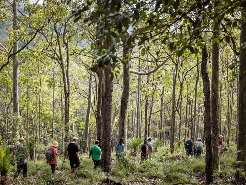 Take a walk at Bundanon, Reading Country, this weekend.