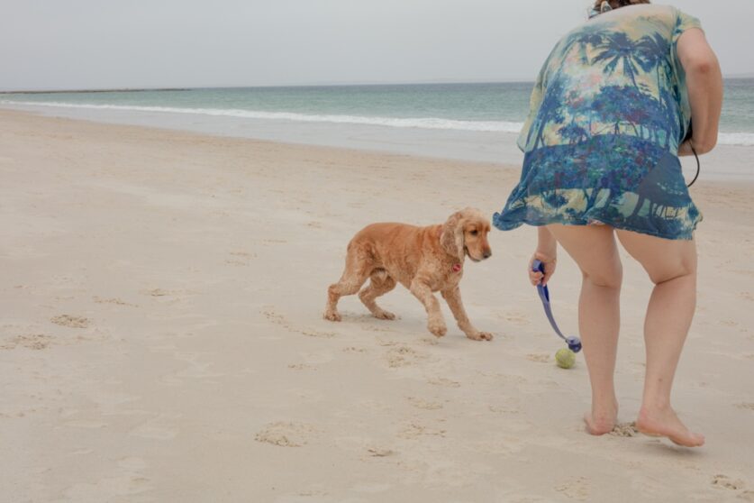 Time with your fur friend this holiday season - priceless. Photo U+