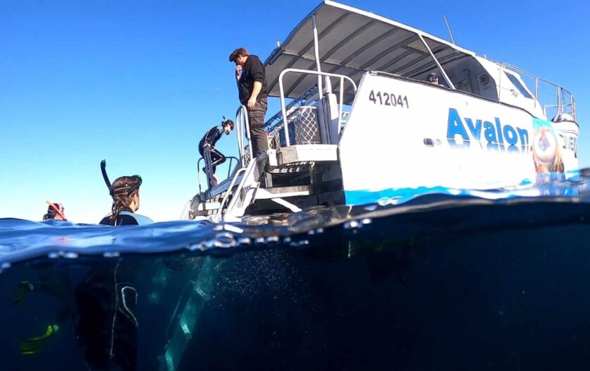 SCUBA with Dive Jervis Bay.