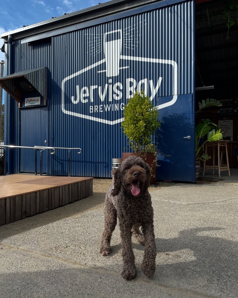 All welcome at the dog-friendly, family-friendly Taproom in Woollamia industrial zone.