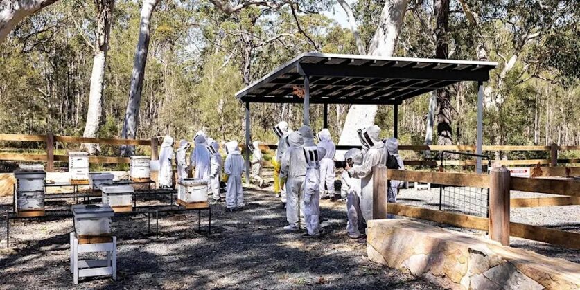 Become a beekeeper for a day at the Bay & Bush nature retreat.