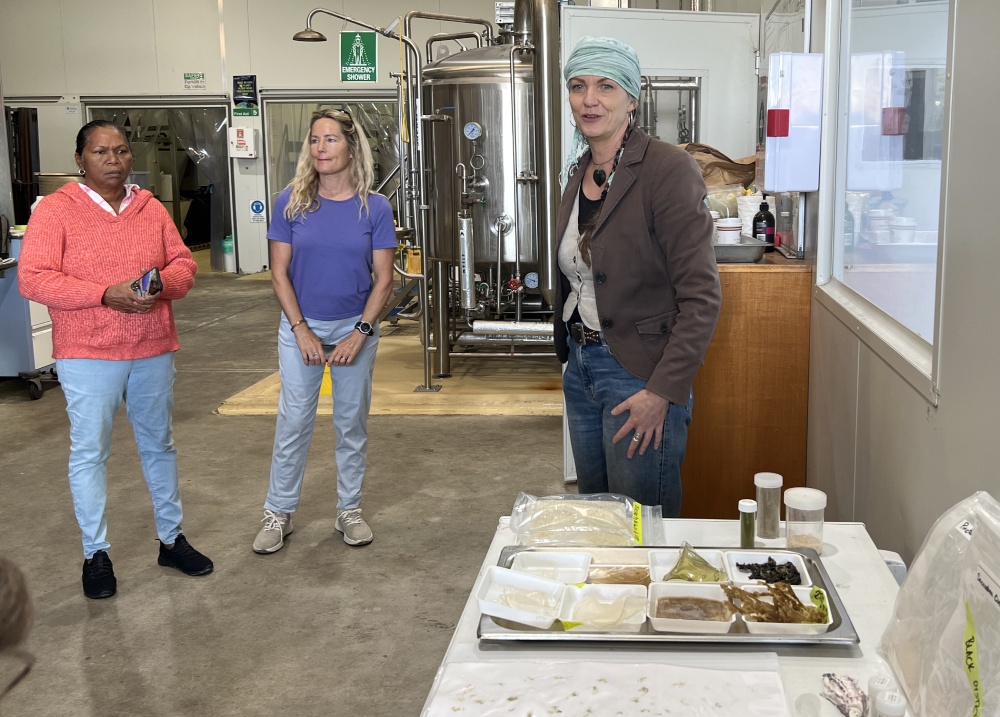A brand-new molecule: Dr Pia Winberg shows the fractions of SXRG84 to the Project NICE participants at the PhycoHealth factory in Woollamia Jervis Bay. Photo Samantha Tannous