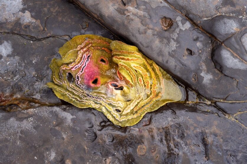 Fossils in the rock along the shores of Jervis Bay plus an artwork by Samantha Tannous. Photo Jon Harris.