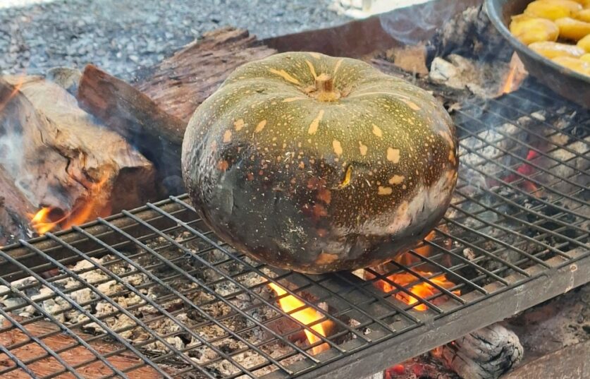 A pumpkin roasts over hot coals.